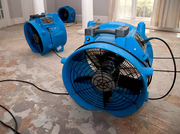 Water Damage Reconstruction in Sunny Side