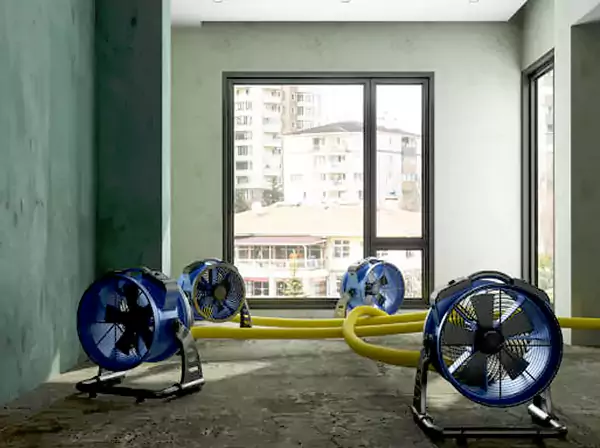 Water Removal Services in Sunny Side