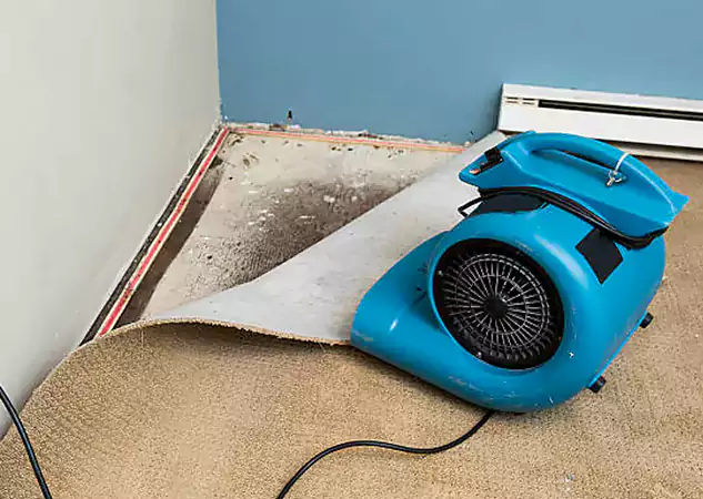 Your Water Damage Experts in Sunny Side, GA