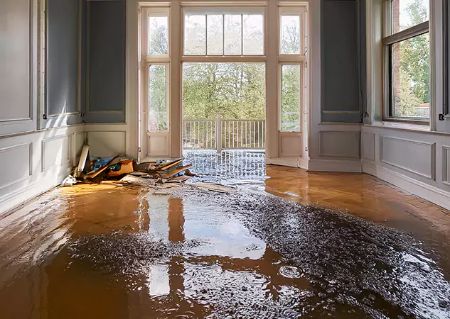 Your Disaster Restoration Services in Sunny Side, GA