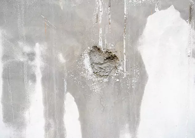 Your Mold Mitigation Solutions Partner in Sunny Side, GA
