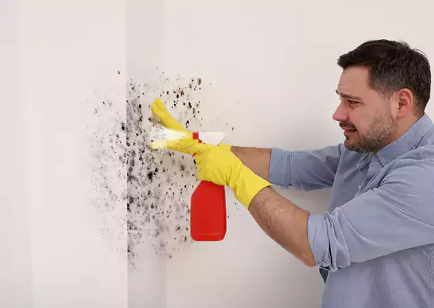 Your Water Mold Fire Restoration Partner in Sunny Side, GA