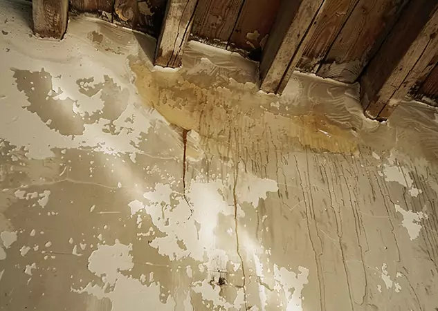 Your Trusted Restoration Company in Sunny Side, GA