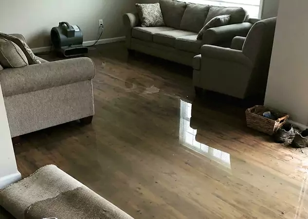 Your Trusted Restoration Company in Sunny Side, GA