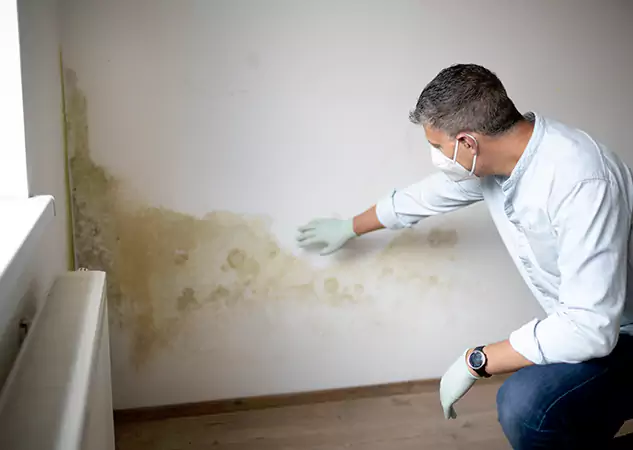 Reach Our Remediation Team Before Damage Grows in Sunny Side, GA!