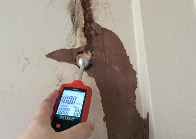 Your Water Damage Assessment Partner in Sunny Side, GA