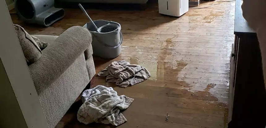 Professional Basement Water Remediation Services in Sunny Side, GA