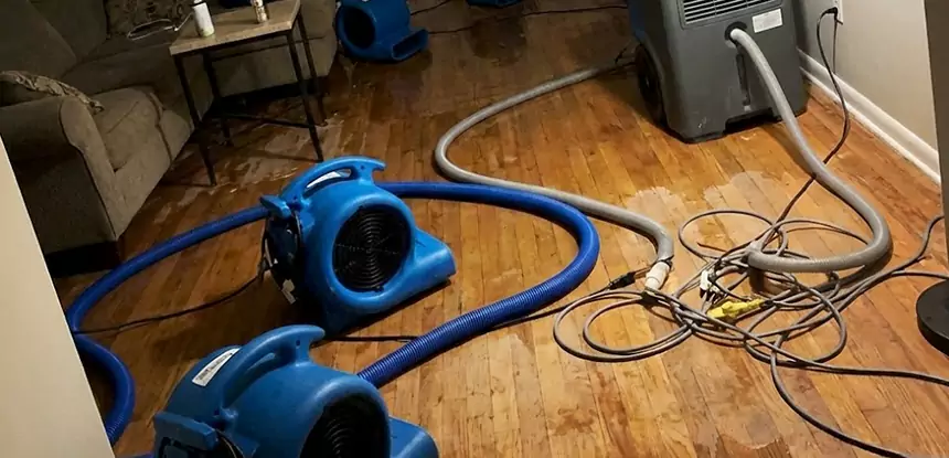Basement Flood Restoration Services in Sunny Side