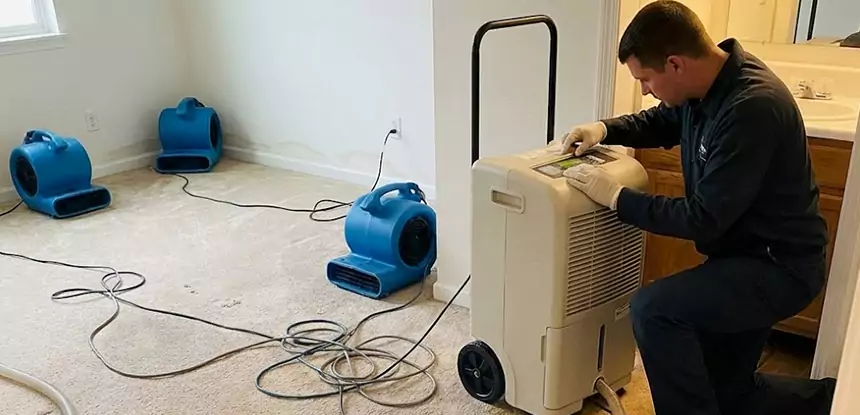 Water Damage Restoration in Sunny Side