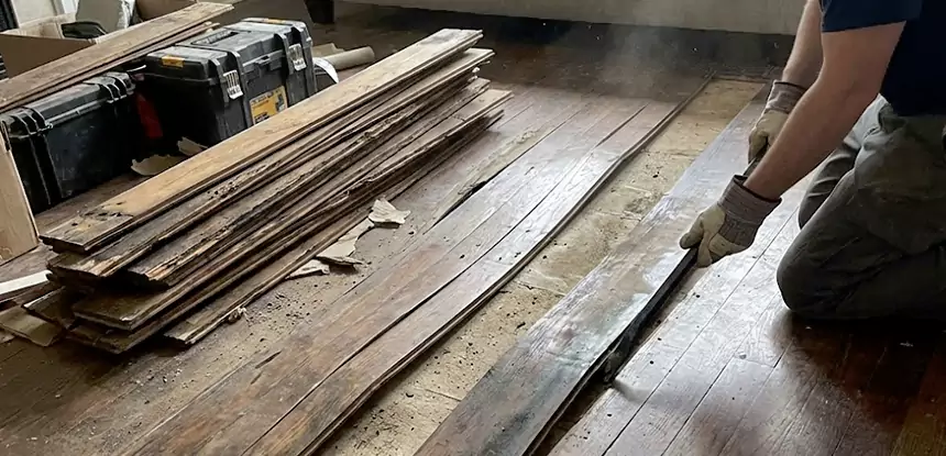 Wood Rot and Fungus Repair in Sunny Side