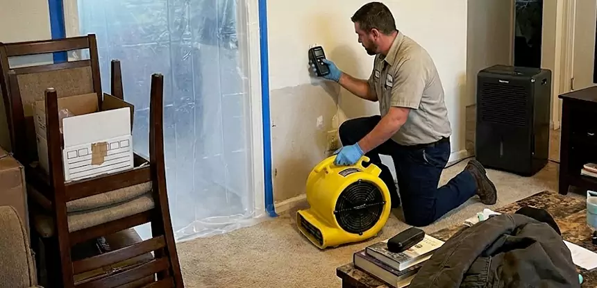 Carpet Water Damage Repair Sunny Side