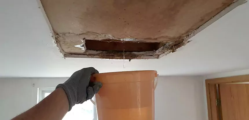 Ceiling Mold Repair Sunny Side 