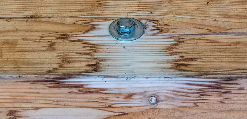 Fixing Water Marks on Wood in Sunny Side