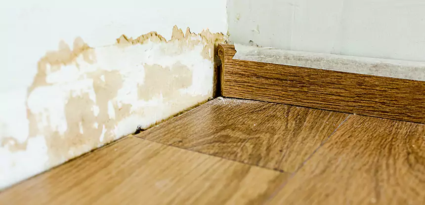 Professional Fix Water Damaged Wood Services in Sunny Side, GA