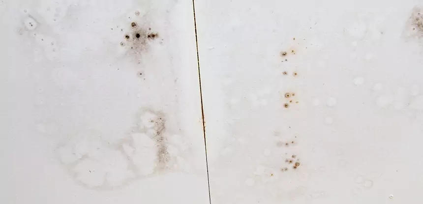 Professional Water Stain Repair Services in Sunny Side, GA