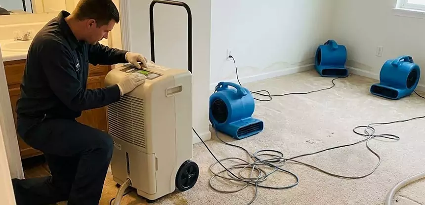 Professional Wet Carpet Removal Services in Sunny Side, GA
