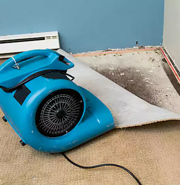 Why Sunny Side Trusts Sunnyside Restoration Pro for Carpet Flood Recovery?