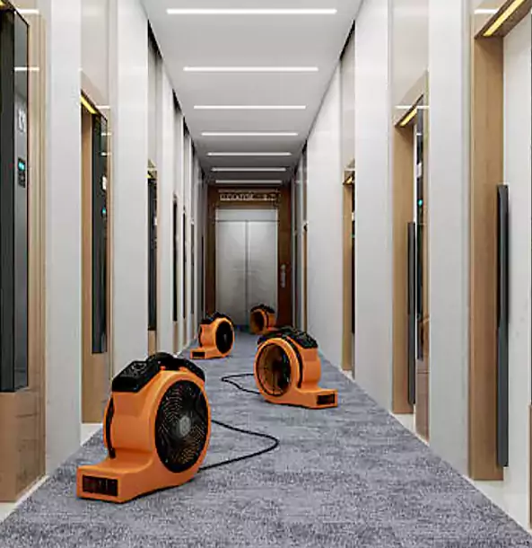 Why Sunny Side Trusts Sunnyside Restoration Pro?