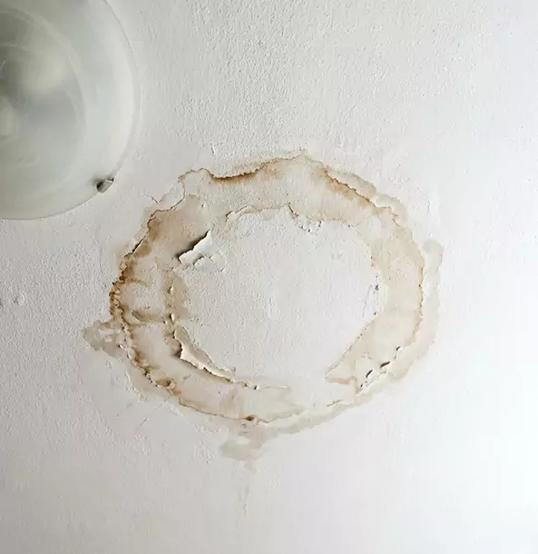 Why Sunny Side Property Owners Choose Sunnyside Restoration Pro for Ceiling Water Damage Restoration?