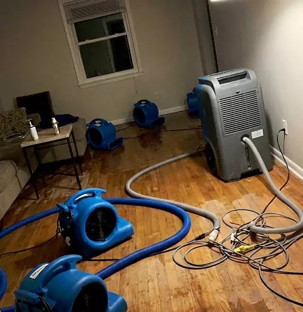 Why Sunny Side Calls Sunnyside Restoration Pro First for Emergency Restoration?
