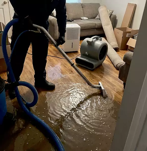 Why Sunny Side Trusts Sunnyside Restoration Pro for Flood Cleanup?
