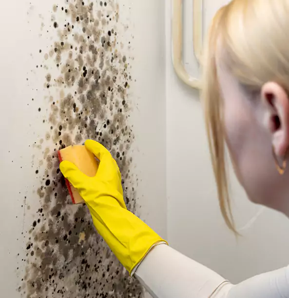 Why Sunnyside Restoration Pro Leads Mold Remediation in Sunny Side?