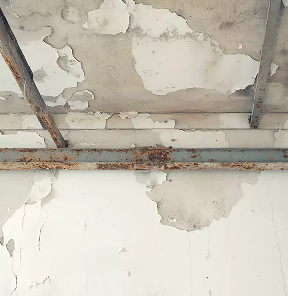Why Sunnyside Restoration Pro Is the Right Choice in Sunny Side, GA?