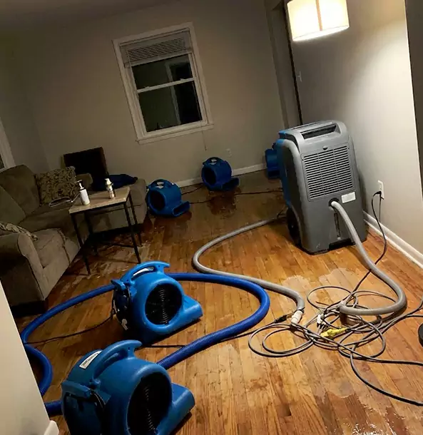 Why Sunny Side Property Owners Rely on Sunnyside Restoration Pro for Remediation?