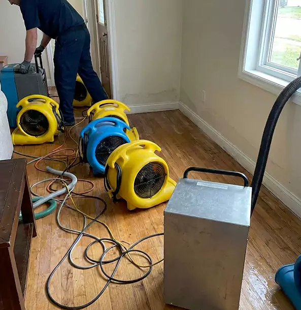 Why Sunny Side Property Owners Choose Sunnyside Restoration Pro for Remediation?
