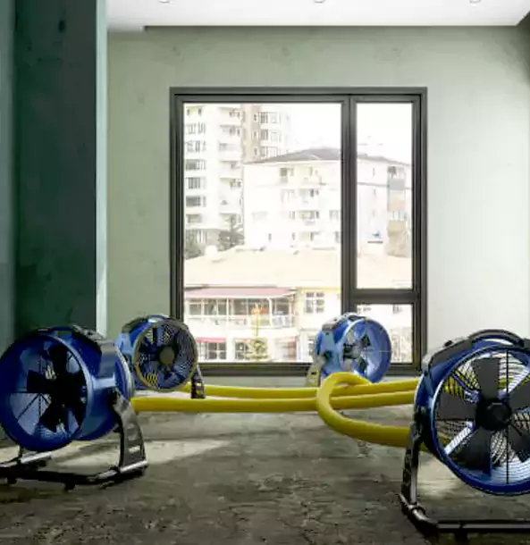 Why Sunny Side Property Owners Trust Sunnyside Restoration Pro for Water Damage Drying?