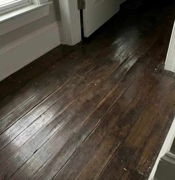 Why Sunny Side Homeowners Trust Sunnyside Restoration Pro to Fix Water Damaged Wood?