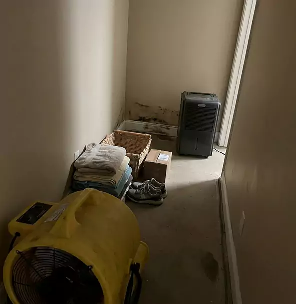 Why Sunny Side Property Owners Choose Sunnyside Restoration Pro?