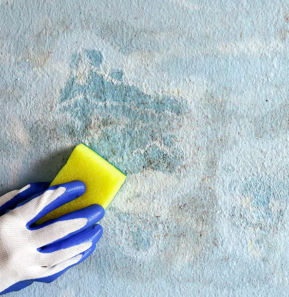 Why Sunnyside Restoration Pro Is the Right Choice in Sunny Side, GA?