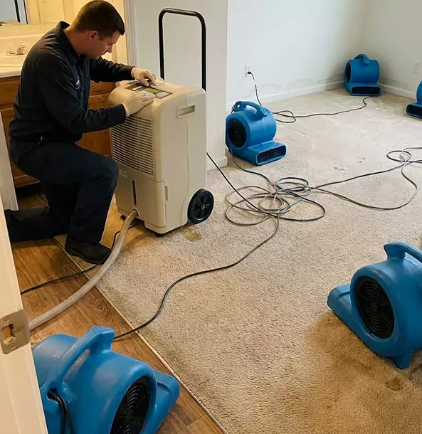 Why Sunny Side Homeowners and Businesses Trust Sunnyside Restoration Pro for Carpet Drying?