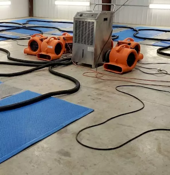 Why Sunny Side Homeowners and Businesses Choose Sunnyside Restoration Pro for Wet Carpet Removal?