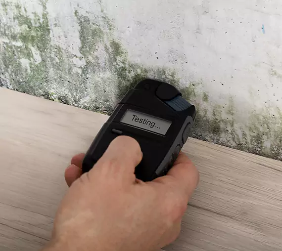 Mold Remediation Service Sunny Side