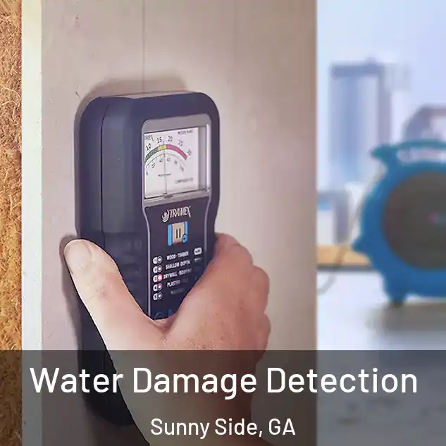 Water Damage Detection Sunny Side, GA