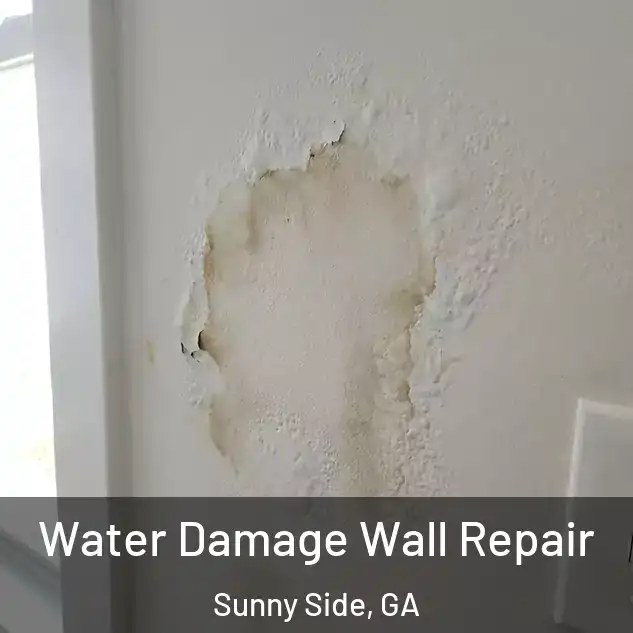  Water Damage Wall Repair Sunny Side, GA