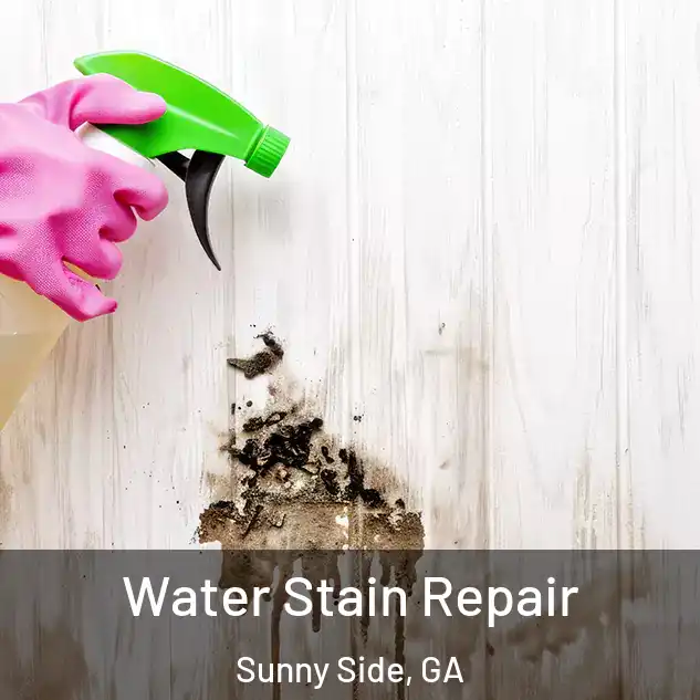  Water Stain Repair Sunny Side, GA